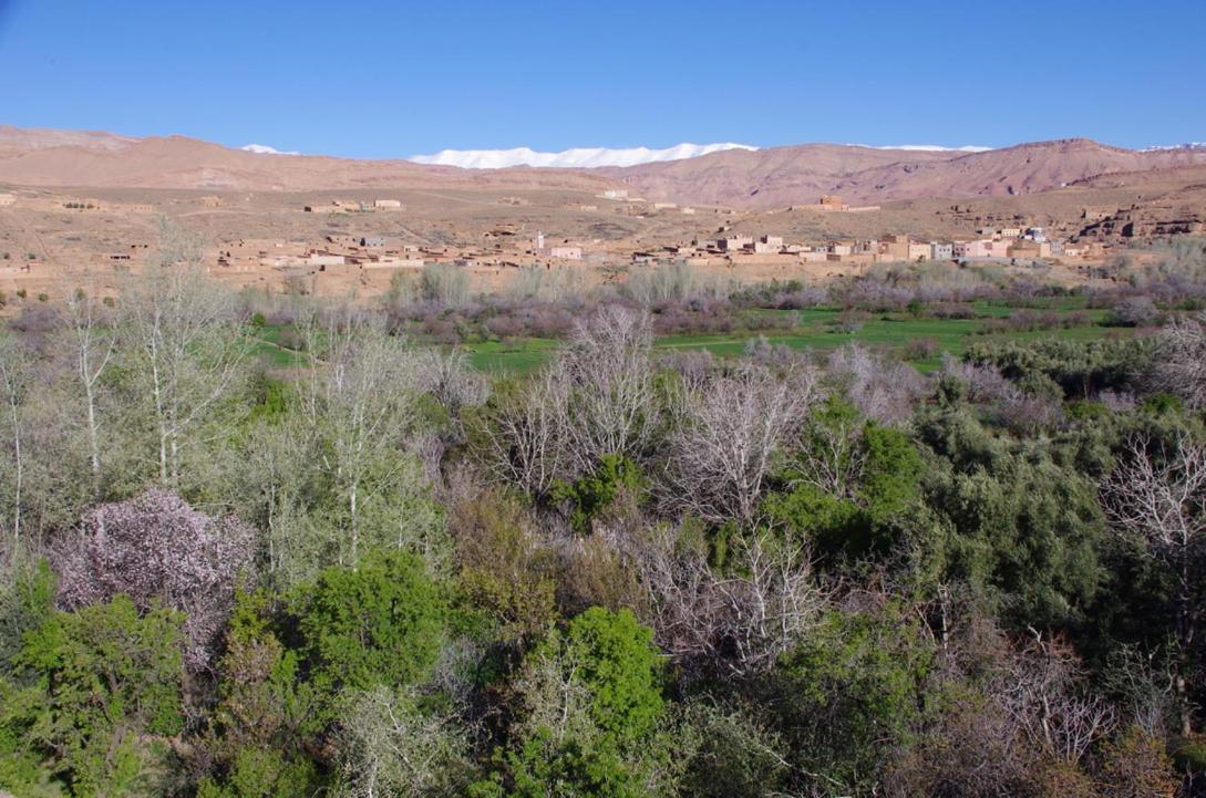 Les Jardins Du M'Goun Bed & Breakfast Kelaat-M'Gouna Luaran gambar