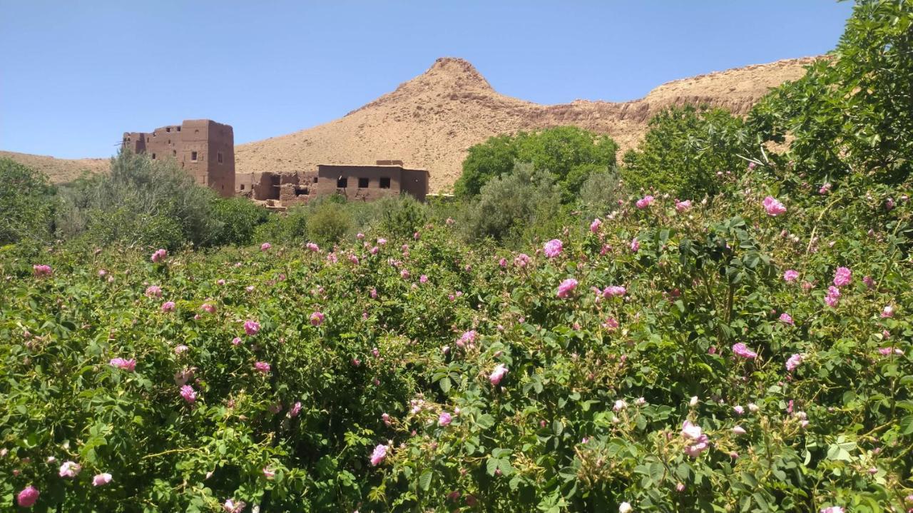Les Jardins Du M'Goun Bed & Breakfast Kelaat-M'Gouna Luaran gambar