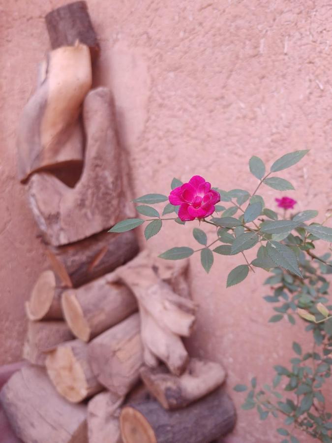 Les Jardins Du M'Goun Bed & Breakfast Kelaat-M'Gouna Luaran gambar